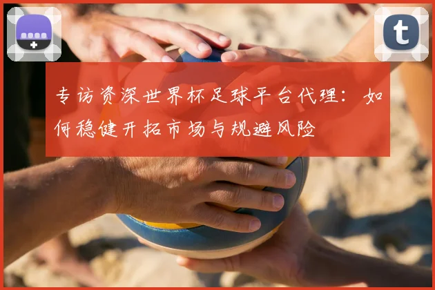 专访资深世界杯足球平台代理:如何稳健开拓市场与规避风险