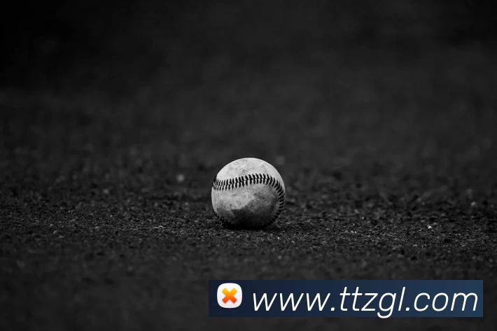 星空体育(中国)官方网站 - xingkong sports平台生态图